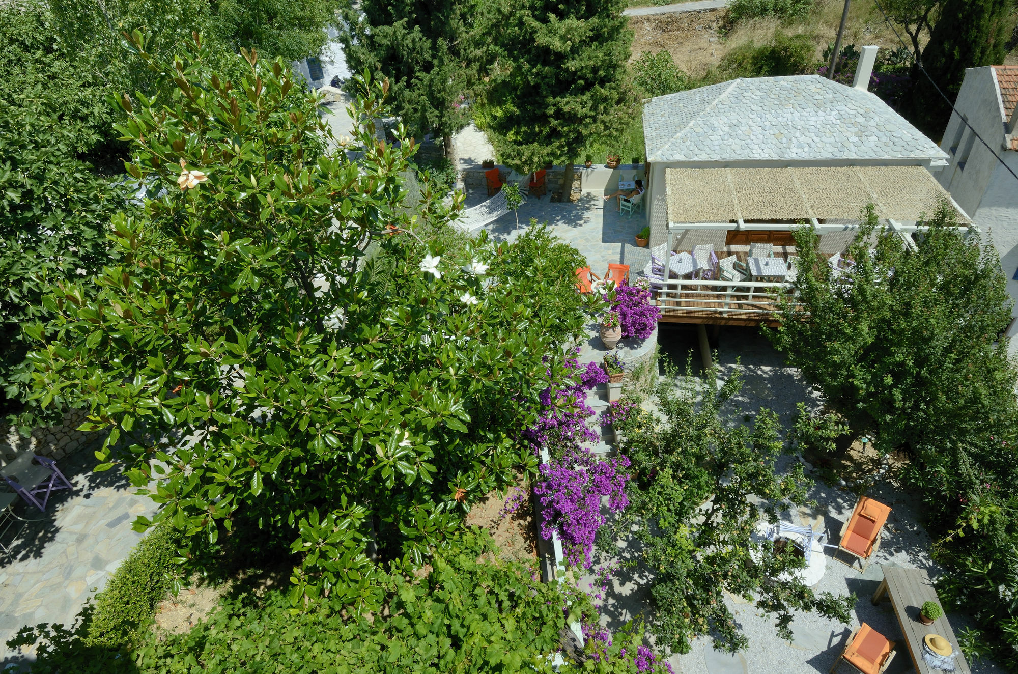 Alónnisos Konstantina Studios المظهر الخارجي الصورة